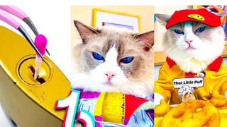 Most Liked That Little Puff Tiktoks 2 2