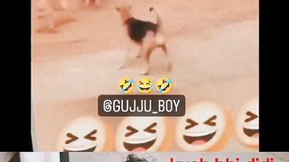 Moj kar di didi????????#shivamprajapati.7#short #shorts #youtubeshorts #funny #shortvideo #ytshorts