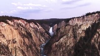 beauty in the world