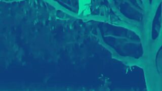 Cute video 3