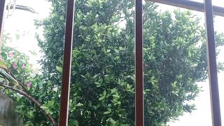 It is beautiful rain ????