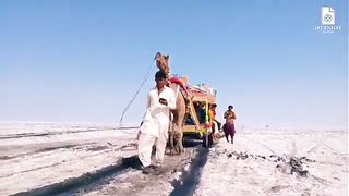 Voice of thar