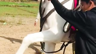Mamy or bhaniy ki