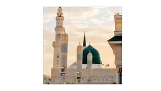 Best videos 2