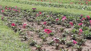 Argentina Park Islamabad pakistan/sohailT22vlog