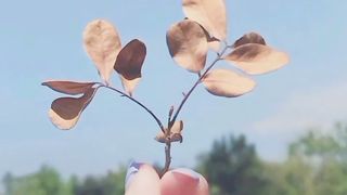 A flower beautiful song