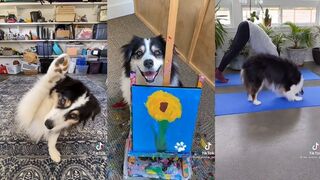 my_aussie_gal Tiktok Complication