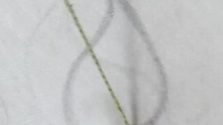 Hand Embroidery leaf stitch design