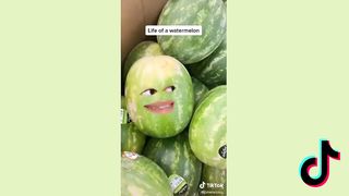 Funny Tik Toks That Made Me ???? From Laughing ???? 3
