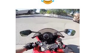 Fun with life
