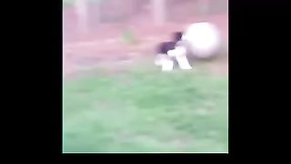 FUNNY VIDEO 02???????????? VIDEO DROLE???????????? #drole #comedievideo #viral #humour #comedy #fourire #laught????????????????????