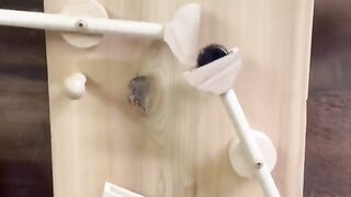 Viral video #lifehacks #viral shorts