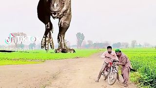 Funny Video so great video