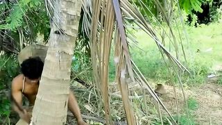 Find worms in coconut tree Cook Coconut worm Fillets delicious - Amazing Foods