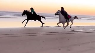 Beautiful ???????? horse racing ????