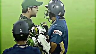 Fight video cricket