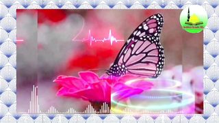 #banglawaz #vairal_video #islamiclecture #religion #islamicspeech