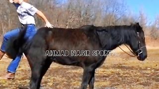 Best moment of horse