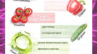 ЗА УСПЕШНА ГРАДИНА 7
