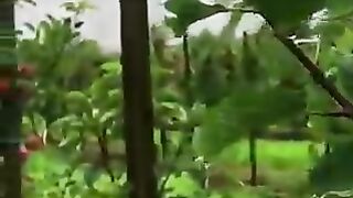 سورۃ یاسین