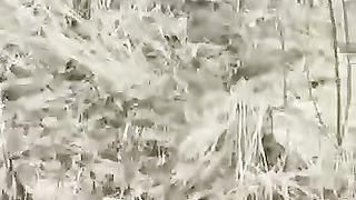 Amazing hunting video