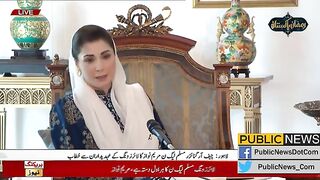 چیف آرگنائزر مسلم لیگ ن مریم نواز کا لائرز ونگ کے عہدیدران سے خطاب #publicnews #breakingnews