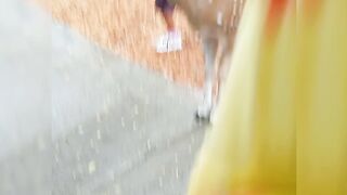 Vandalor zoo Funs with animals