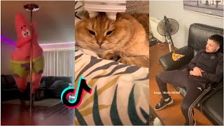 Funny TikToks that make my Monday better 5