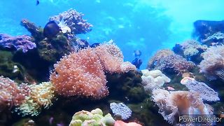 Relaxing music | Relaxing piano music | Relaxing morning music
