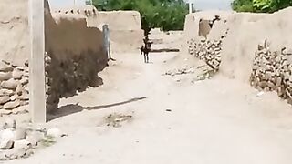 Usman and artughul seen