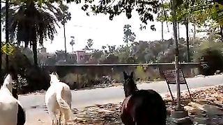 #friendship ##love #tiktok #lovestatus #song #shortvideo #tradingvideo #viralvideo