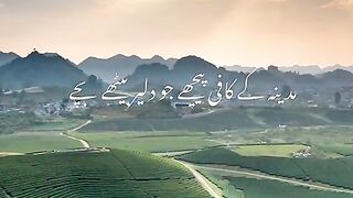 hazrt umar jab fot hoy to