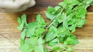 Green tikka boti