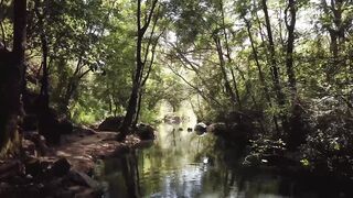 Beautiful Nature 3