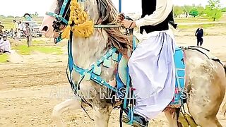 #BUTIFULL#hors#
