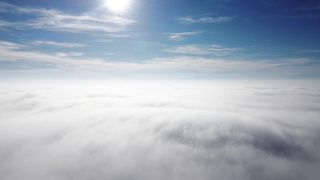 la tete dans les nuage