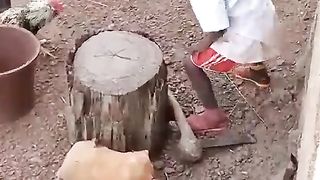 Funny 160