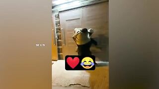 25 Funny Moments Of Pakistani People /chhamid13