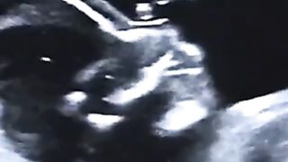 Funny video 230