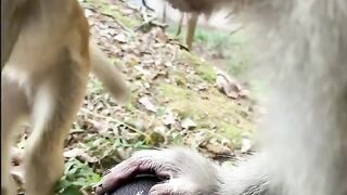 Funny clip #andar ka tamasha#