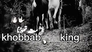 Best friend jesa bhi ho accept kro