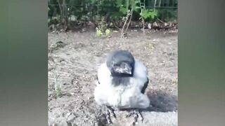 It the best video of 2023
