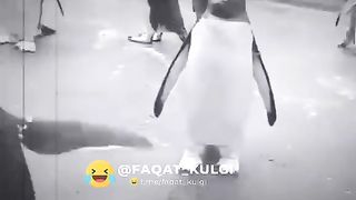 Oz qoldi aaaa