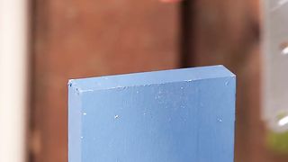 Backyard Repair Tips & More