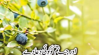 Assalamu Alaikum Rahmatullahi Barakatuh