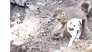 Respect moment 5