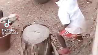 funny video 38