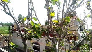 Natural Beauty#5th day of Ramzan (God blessed day) subscribe plzz