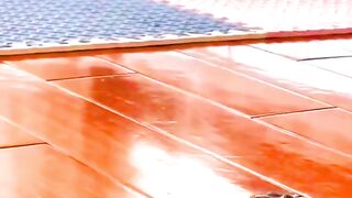 Cutest Cats and Dogs ???????? New Funny Videos 2022 ????