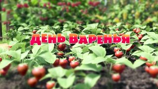Маша и Медведь (День варенья)
